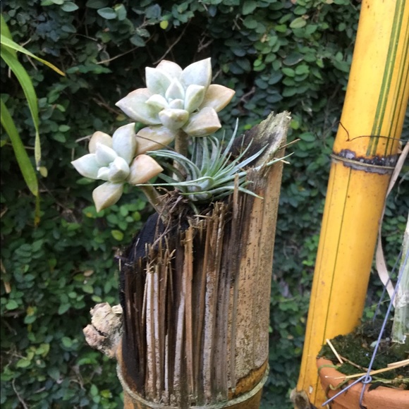 Meet the posher - Picture 6 of 8